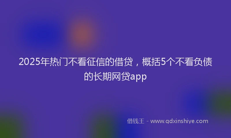 2025年热门不看征信的借贷，概括5个不看负债的长期网贷app