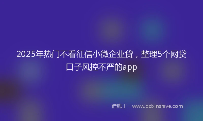 2025年热门不看征信小微企业贷，整理5个网贷口子风控不严的app