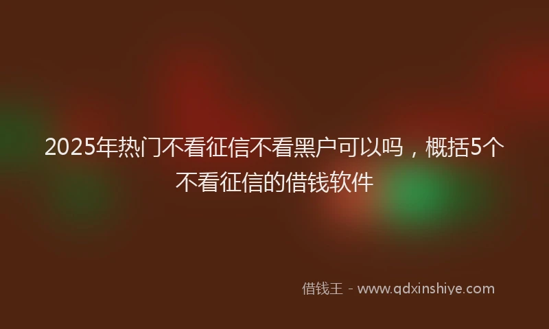 2025年热门不看征信不看黑户可以吗，概括5个不看征信的借钱软件