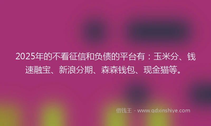 2025年的不看征信和负债的平台有：玉米分、钱速融宝、新浪分期、森森钱包、现金猫等。