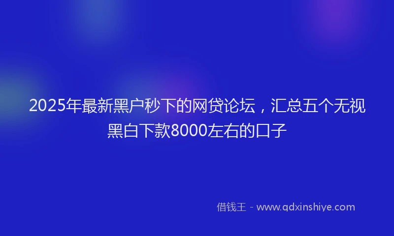2025年最新黑户秒下的网贷论坛，汇总五个无视黑白下款8000左右的口子