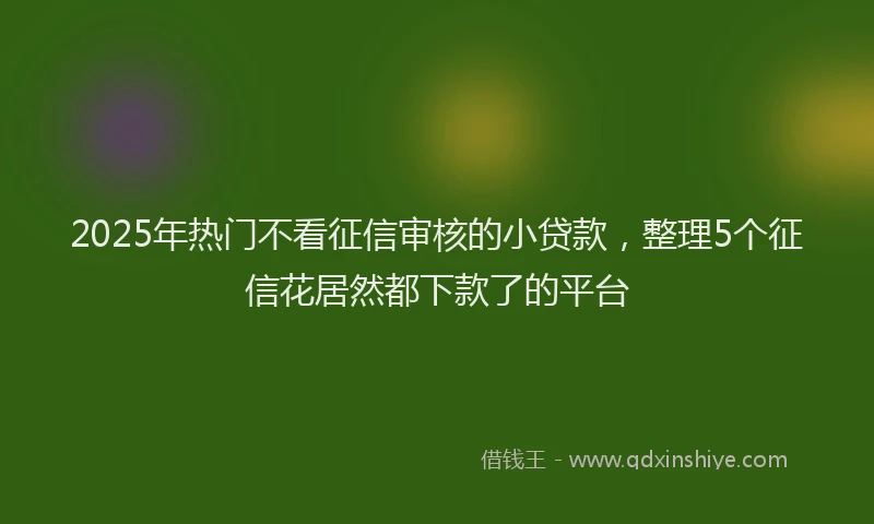 2025年热门不看征信审核的小贷款，整理5个征信花居然都下款了的平台