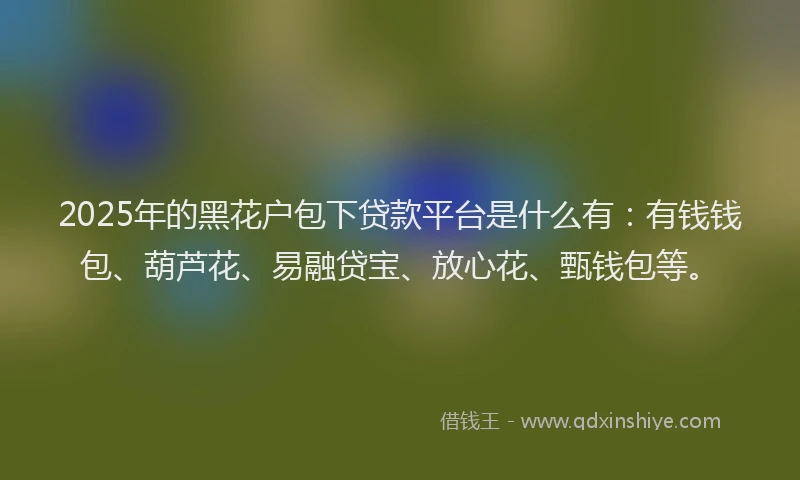2025年的黑花户包下贷款平台是什么有：有钱钱包、葫芦花、易融贷宝、放心花、甄钱包等。
