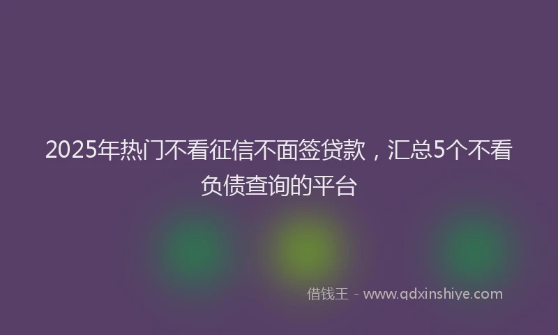 2025年热门不看征信不面签贷款，汇总5个不看负债查询的平台