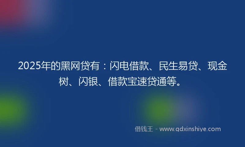 2025年的黑网贷有：闪电借款、民生易贷、现金树、闪银、借款宝速贷通等。
