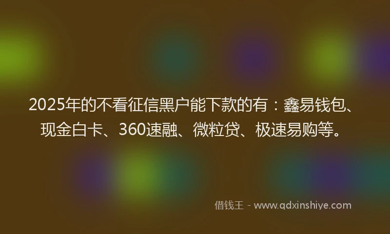 2025年的不看征信黑户能下款的有：鑫易钱包、现金白卡、360速融、微粒贷、极速易购等。