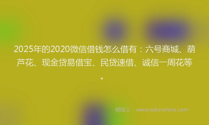 2025年的2020微信借钱怎么借有：六号商城、葫芦花、现金贷易借宝、民贷速借、诚信一周花等。