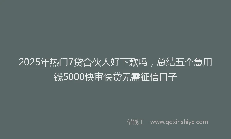 2025年热门7贷合伙人好下款吗，总结五个急用钱5000快审快贷无需征信口子