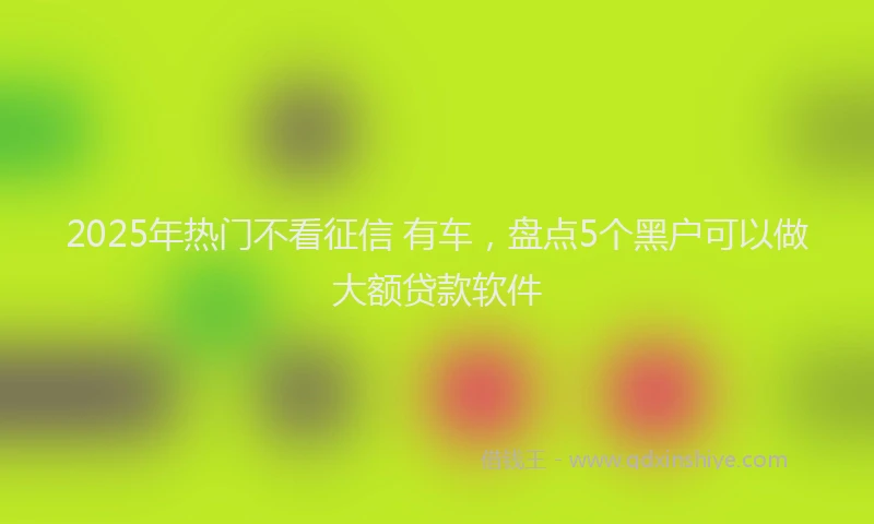 2025年热门不看征信 有车，盘点5个黑户可以做大额贷款软件