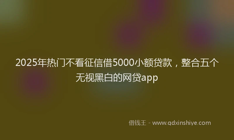 2025年热门不看征信借5000小额贷款，整合五个无视黑白的网贷app