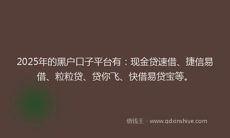 2025年的黑户口子平台有：现金贷速借、捷信易借、粒粒贷、贷你飞、快借易贷宝等。