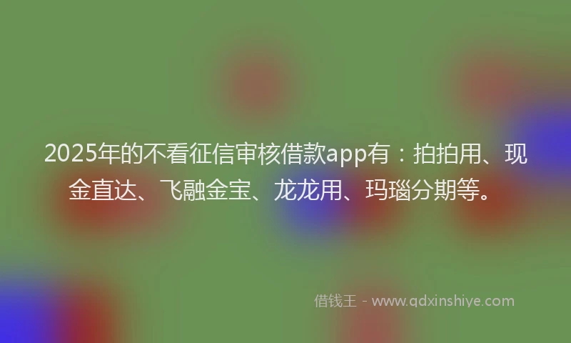 2025年的不看征信审核借款app有：拍拍用、现金直达、飞融金宝、龙龙用、玛瑙分期等。