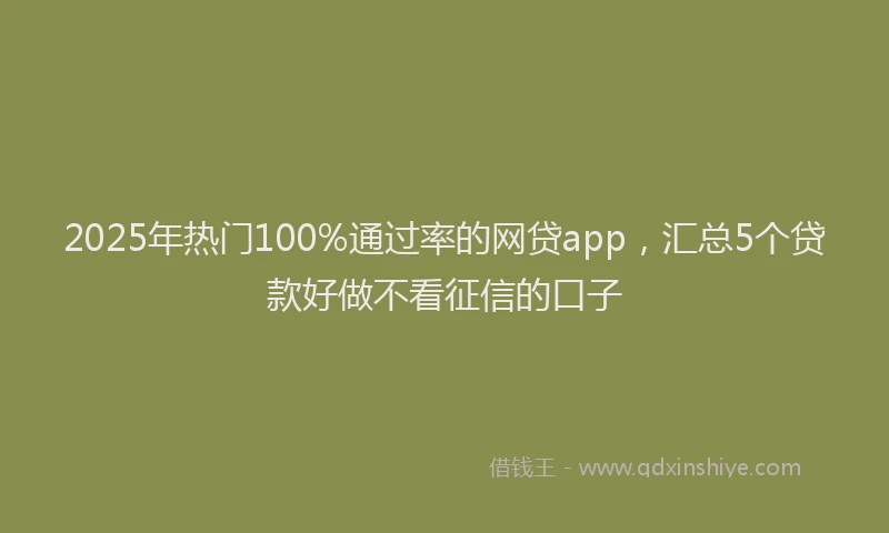2025年热门100%通过率的网贷app，汇总5个贷款好做不看征信的口子