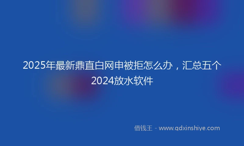 2025年最新鼎直白网申被拒怎么办，汇总五个2024放水软件