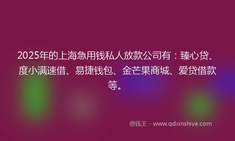 2025年的上海急用钱私人放款公司有：臻心贷、度小满速借、易捷钱包、金芒果商城、爱贷借款等。
