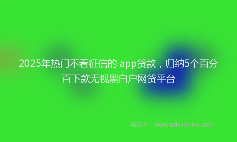 2025年热门不看征信的 app贷款，归纳5个百分百下款无视黑白户网贷平台