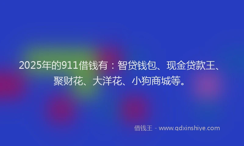 2025年的911借钱有：智贷钱包、现金贷款王、聚财花、大洋花、小狗商城等。