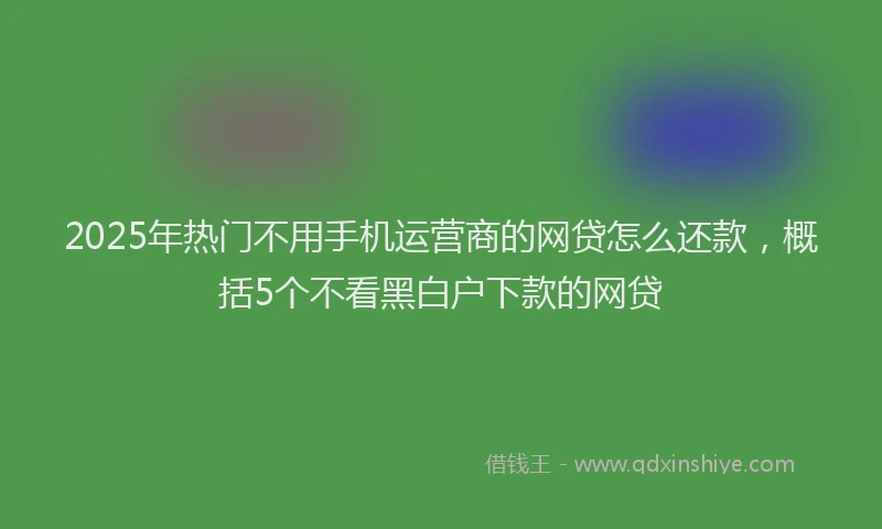 2025年热门不用手机运营商的网贷怎么还款，概括5个不看黑白户下款的网贷