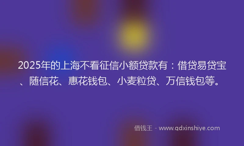 2025年的上海不看征信小额贷款有：借贷易贷宝、随信花、惠花钱包、小麦粒贷、万信钱包等。