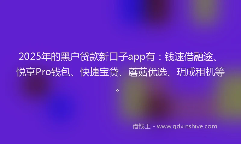 2025年的黑户贷款新口子app有：钱速借融途、悦享Pro钱包、快捷宝贷、蘑菇优选、玥成租机等。