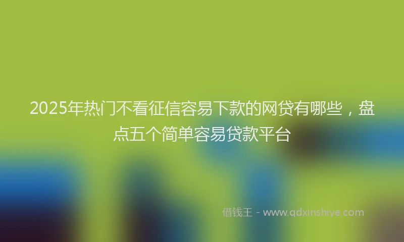 2025年热门不看征信容易下款的网贷有哪些,盘点五个简单容易贷款平台