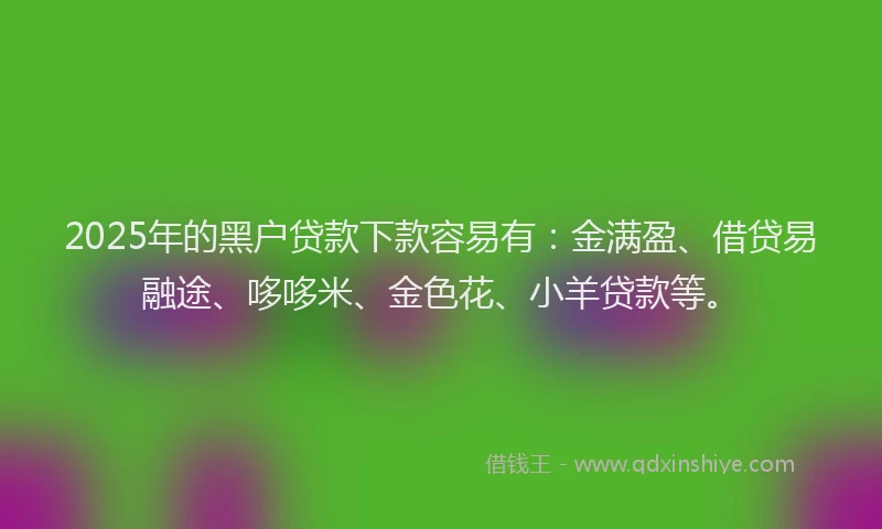 2025年的黑户贷款下款容易有：金满盈、借贷易融途、哆哆米、金色花、小羊贷款等。
