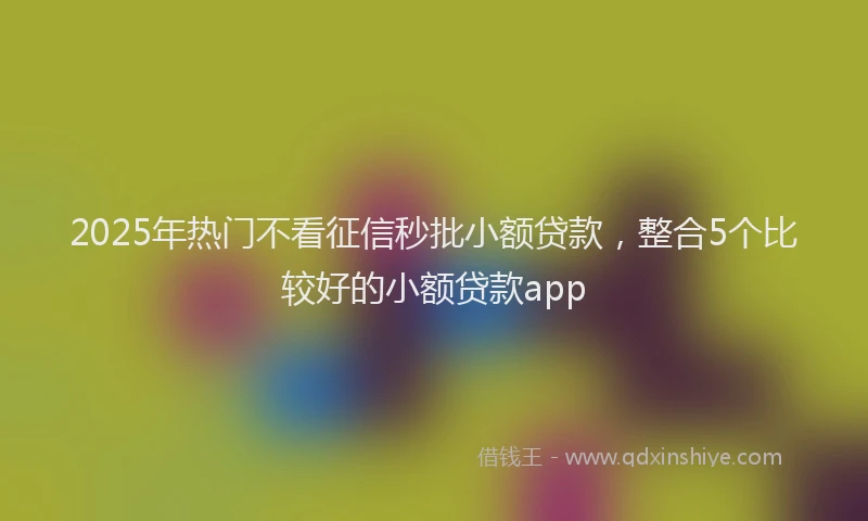 2025年热门不看征信秒批小额贷款,整合5个比较好的小额贷款app