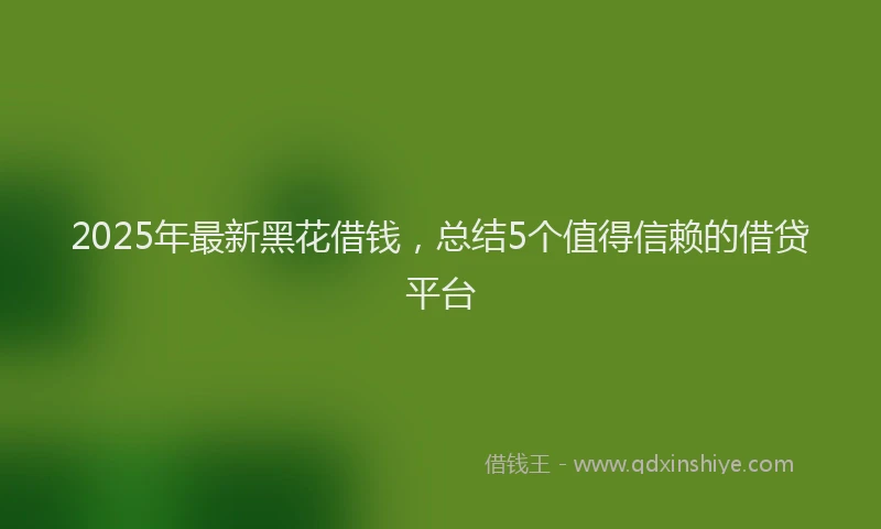 2025年最新黑花借钱，总结5个值得信赖的借贷平台