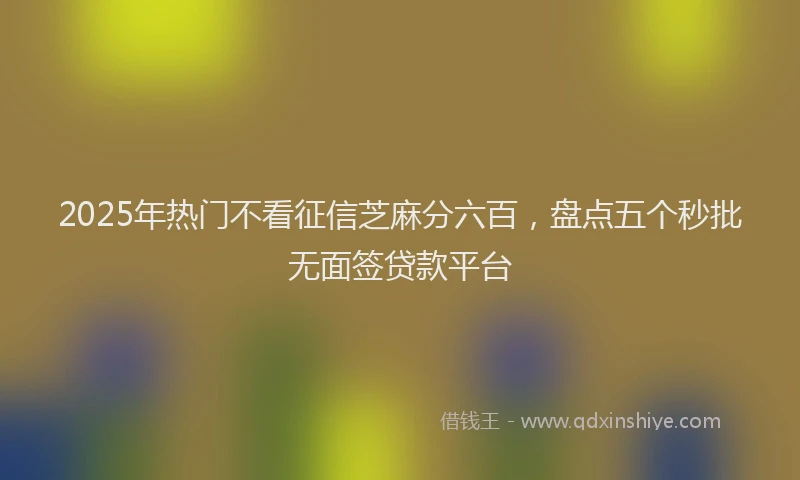 2025年热门不看征信芝麻分六百，盘点五个秒批无面签贷款平台