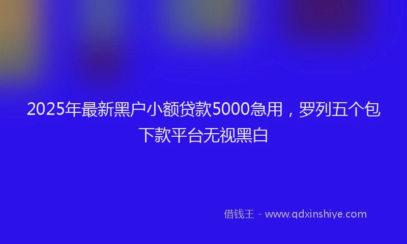 2025年最新黑户小额贷款5000急用，罗列五个包下款平台无视黑白