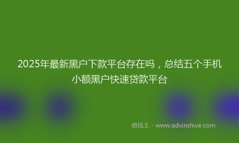 2025年最新黑户下款平台存在吗，总结五个手机小额黑户快速贷款平台