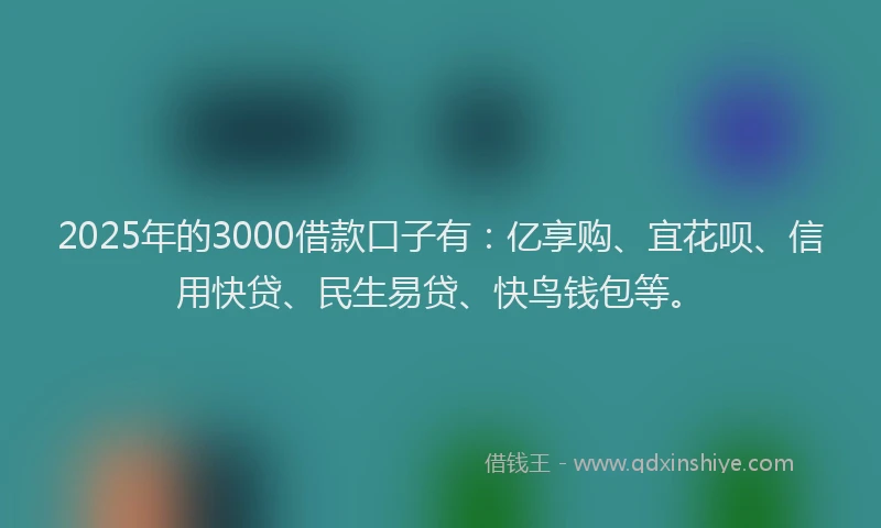 2025年的3000借款口子有：亿享购、宜花呗、信用快贷、民生易贷、快鸟钱包等。