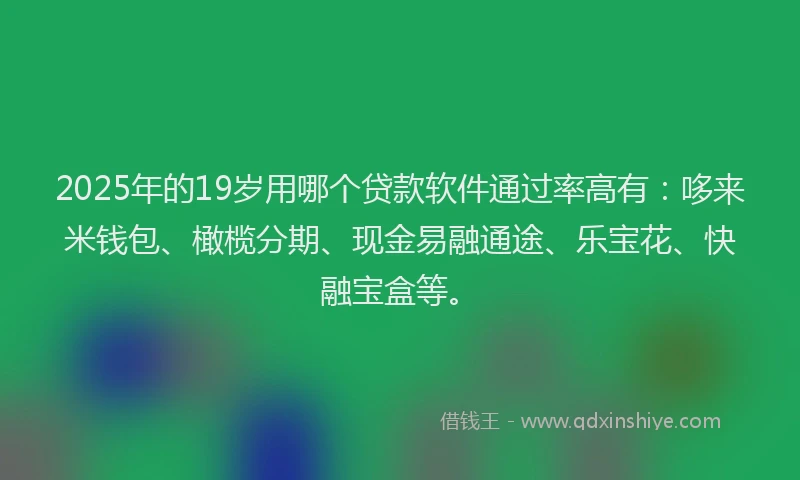 2025年的19岁用哪个贷款软件通过率高有：哆来米钱包、橄榄分期、现金易融通途、乐宝花、快融宝盒等。