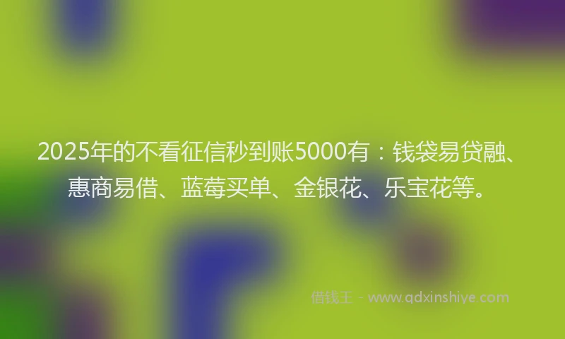 2025年的不看征信秒到账5000有：钱袋易贷融、惠商易借、蓝莓买单、金银花、乐宝花等。
