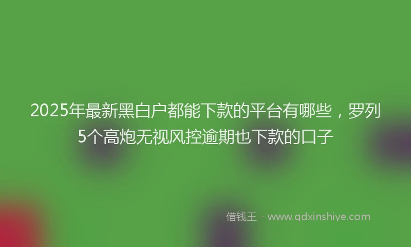 2025年最新黑白户都能下款的平台有哪些，罗列5个高炮无视风控逾期也下款的口子