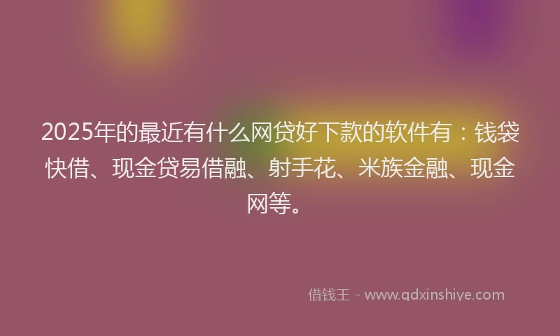 2025年的最近有什么网贷好下款的软件有：钱袋快借、现金贷易借融、射手花、米族金融、现金网等。