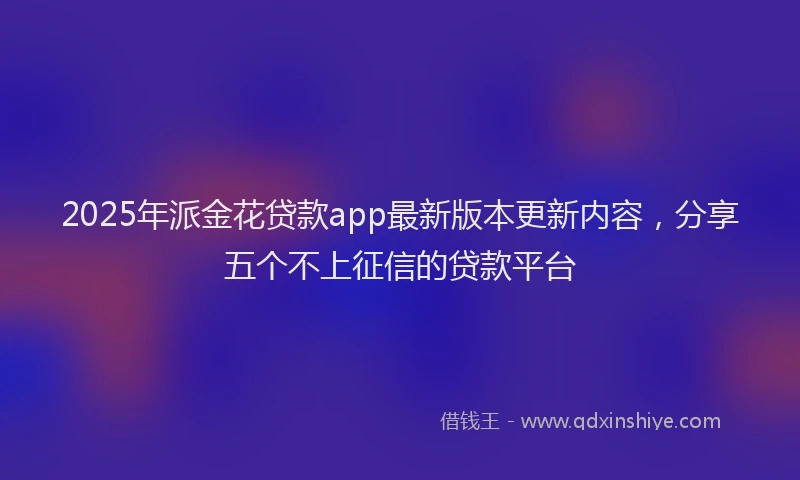 2025年派金花贷款app最新版本更新内容，分享五个不上征信的贷款平台