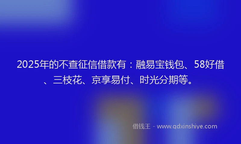 2025年的不查征信借款有：融易宝钱包、58好借、三枝花、京享易付、时光分期等。