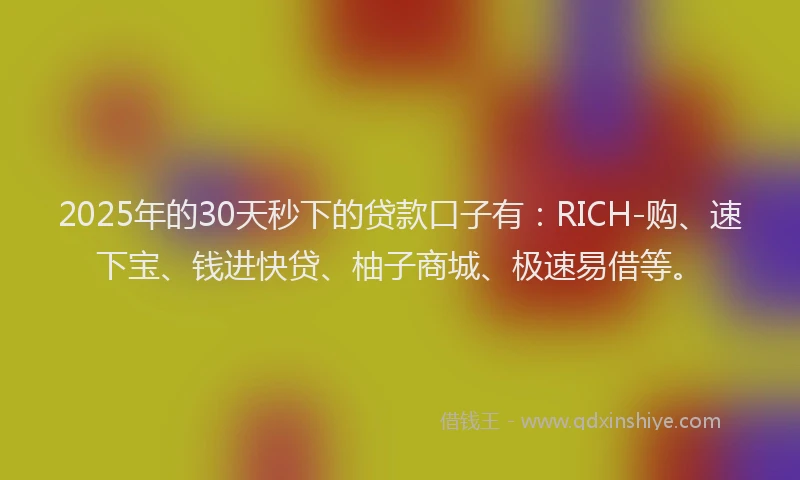 2025年的30天秒下的贷款口子有：RICH-购、速下宝、钱进快贷、柚子商城、极速易借等。