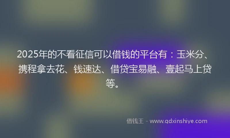 2025年的不看征信可以借钱的平台有：玉米分、携程拿去花、钱速达、借贷宝易融、壹起马上贷等。