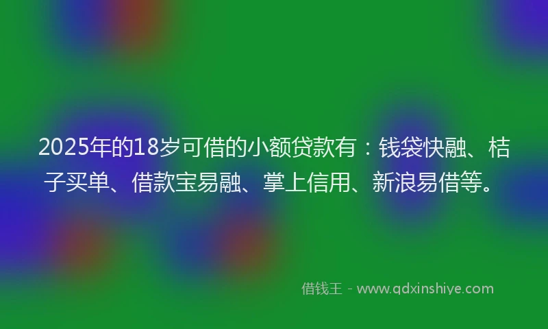 2025年的18岁可借的小额贷款有：钱袋快融、桔子买单、借款宝易融、掌上信用、新浪易借等。