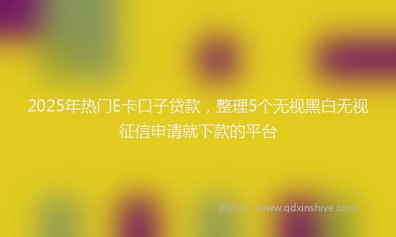 2025年热门E卡口子贷款，整理5个无视黑白无视征信申请就下款的平台