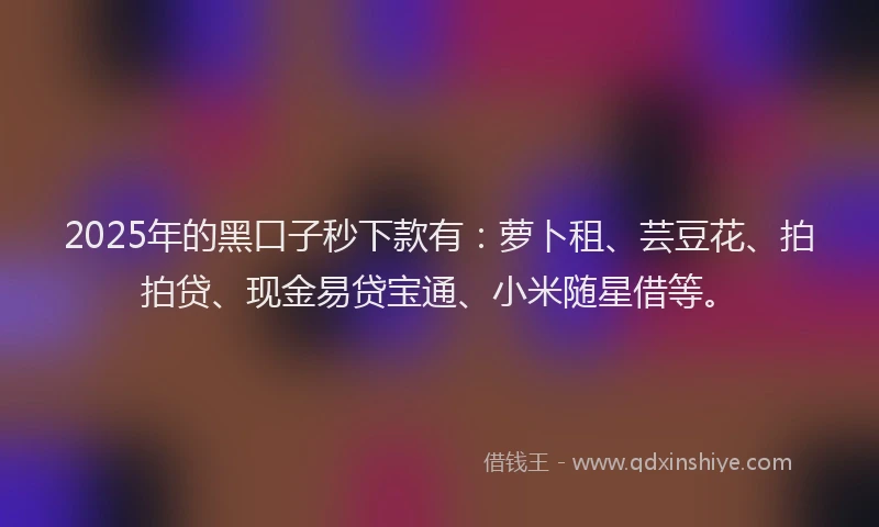2025年的黑口子秒下款有：萝卜租、芸豆花、拍拍贷、现金易贷宝通、小米随星借等。