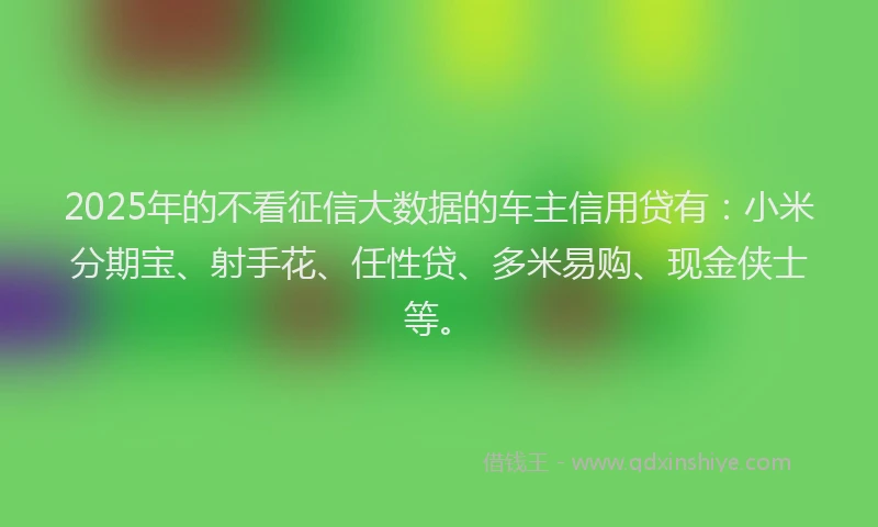 2025年的不看征信大数据的车主信用贷有：小米分期宝、射手花、任性贷、多米易购、现金侠士等。