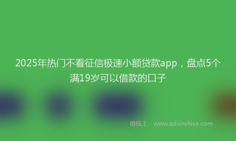 2025年热门不看征信极速小额贷款app，盘点5个满19岁可以借款的口子