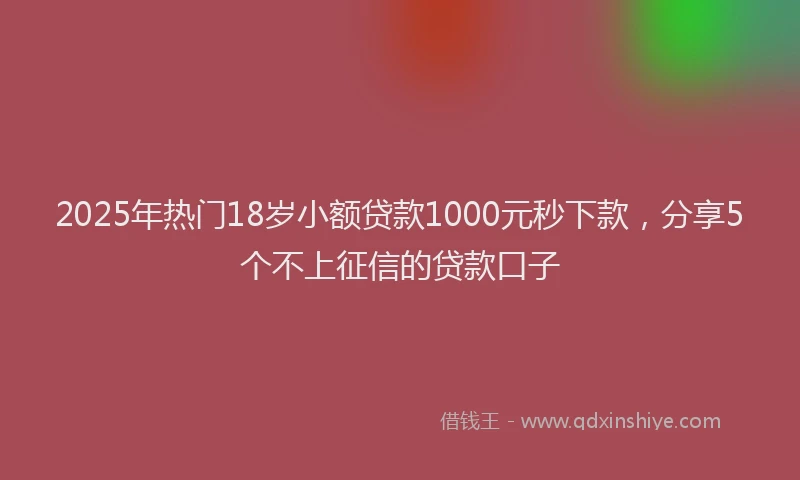 2025年热门18岁小额贷款1000元秒下款，分享5个不上征信的贷款口子
