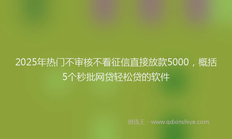 2025年热门不审核不看征信直接放款5000,概括5个秒批网贷轻松贷的软件