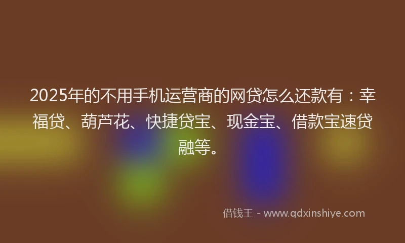 2025年的不用手机运营商的网贷怎么还款有：幸福贷、葫芦花、快捷贷宝、现金宝、借款宝速贷融等。