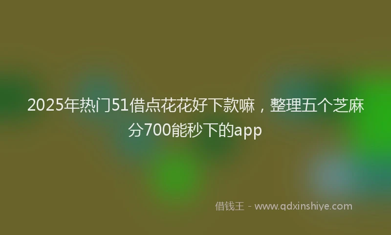 2025年热门51借点花花好下款嘛，整理五个芝麻分700能秒下的app