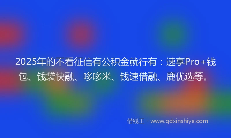 2025年的不看征信有公积金就行有：速享Pro+钱包、钱袋快融、哆哆米、钱速借融、鹿优选等。